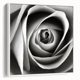 Framed botanical wall art featuring a delicate rose design on a white canvas, showcasing intricate details and elegant colors, perfect for home decor.