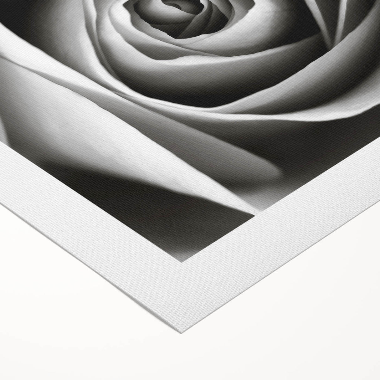 Botanical wall art showcasing a delicate rose design on rolled canvas, perfect for home décor. Features soft pastel colors and intricate floral details for an elegant touch.