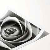Botanical wall art print featuring a delicate pink rose design with green leaves, rolled for easy display; perfect for enhancing home decor aesthetics.