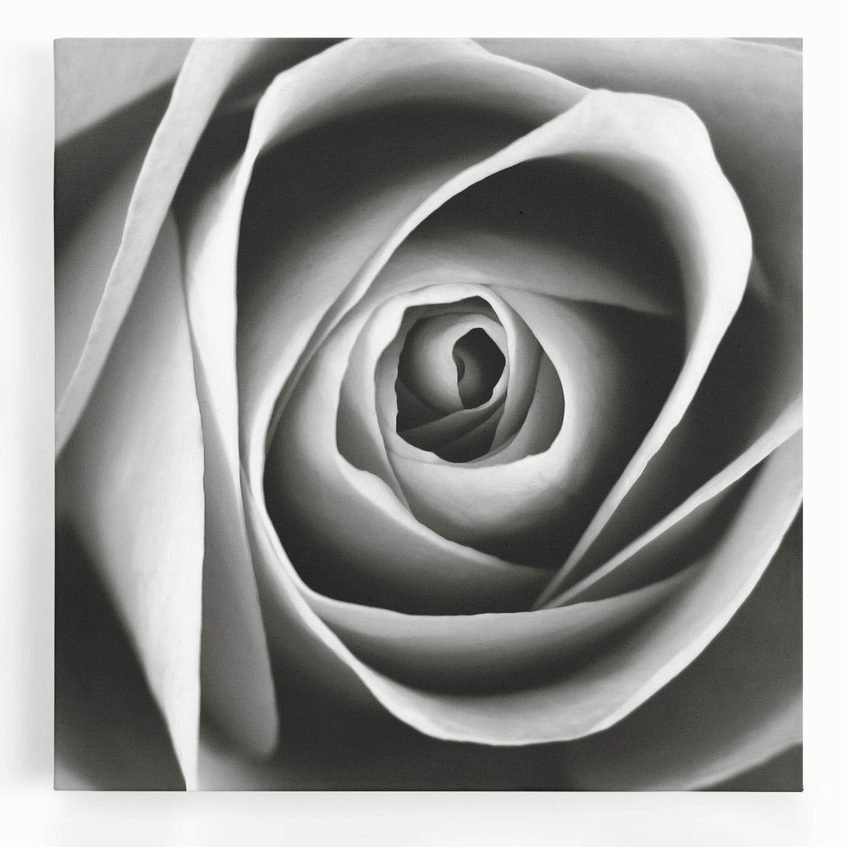 Stretched canvas wall art featuring a botanical rose design in vibrant colors, ideal for enhancing home decor with a floral touch. Perfect for nature lovers and art enthusiasts.