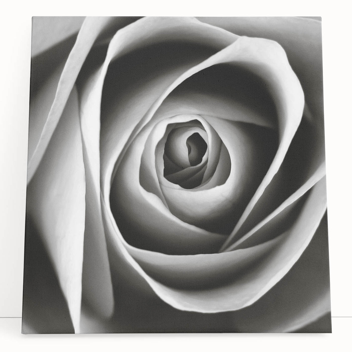 Stretched canvas wall art showcasing a botanical rose design, featuring vibrant colors and intricate floral details, perfect for home decor or gallery display.