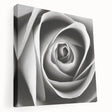 Stretched canvas displaying a botanical rose design in vibrant colors, showcasing intricate floral details and textures, ideal for home decor or art enthusiasts.