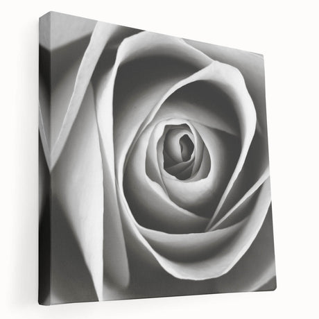 Stretched canvas displaying a botanical rose design in vibrant colors, showcasing intricate floral details and textures, ideal for home decor or art enthusiasts.