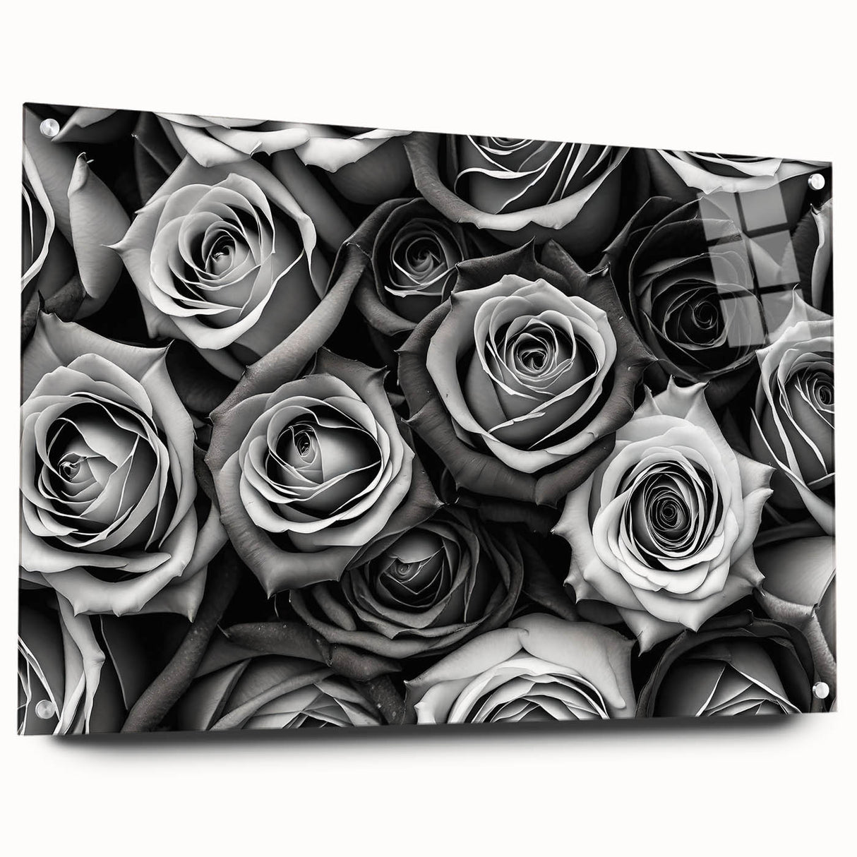 Botanical rose wall art collection displayed in a modern acrylic frame, showcasing intricate floral designs with vibrant colors, perfect for home decor.