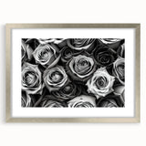 Botanical rose wall art collection framed with a silver mat, showcasing elegant floral designs on a textured background, perfect for home decor.
