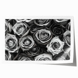 Botanical rose design wall art print showcasing vibrant pink and green hues, rolled and ready for framing, perfect for enhancing home decor aesthetics.