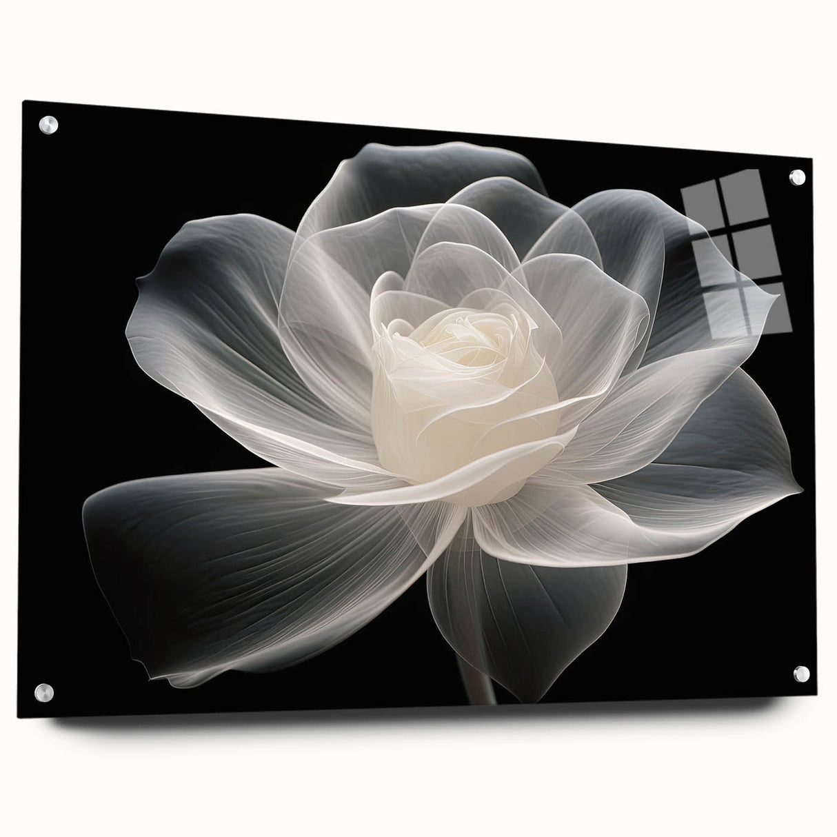 Acrylic wall art collection showcasing a botanical rose design, featuring vivid colors and intricate details, displayed with a side view and pins for mounting. Perfect for home decor enthusiasts seeking floral-themed artwork.