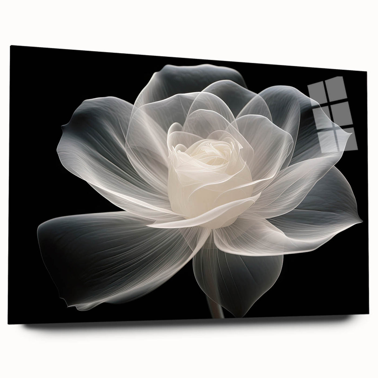 Acrylic glass wall art collection featuring a botanical rose design in vibrant colors, displayed in a modern setting, highlighting its elegant side view without pins. Ideal for home decor enthusiasts seeking floral aesthetics.