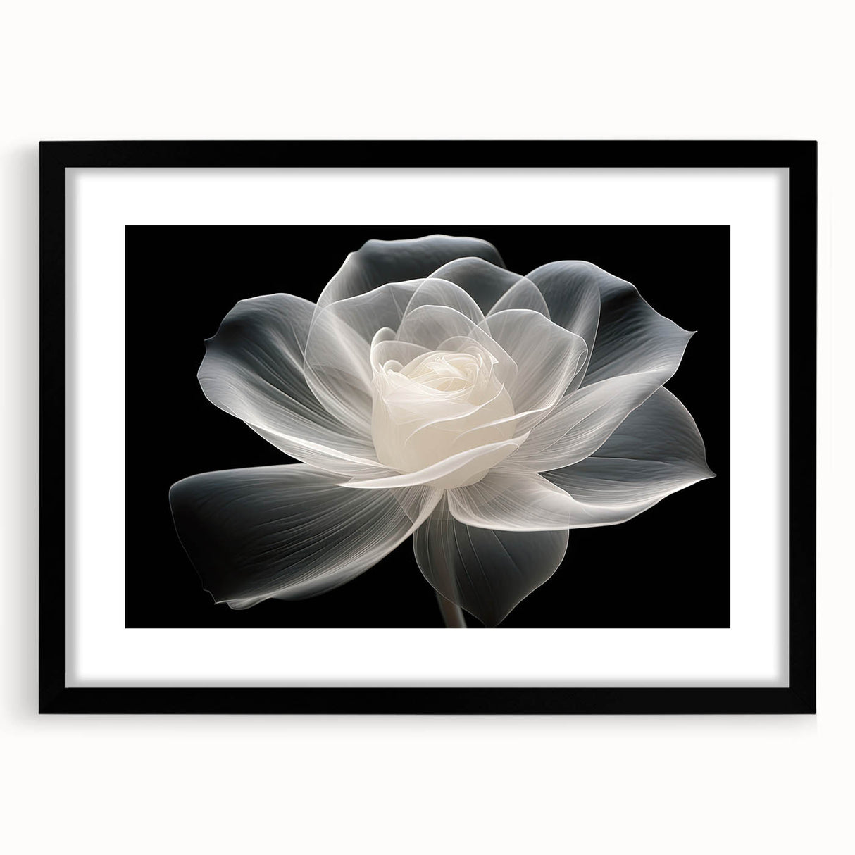 Botanical wall art featuring a delicate rose design in a sleek black frame with a white mat, perfect for enhancing modern home decor and floral-themed interiors.