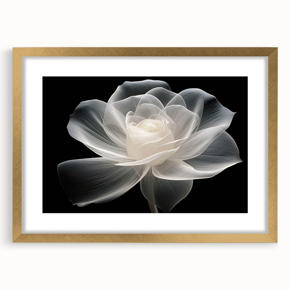 Elegant botanical rose wall art frame with a gold mat, showcasing intricate floral designs, perfect for home decor or gallery displays, enhancing any interior space.
