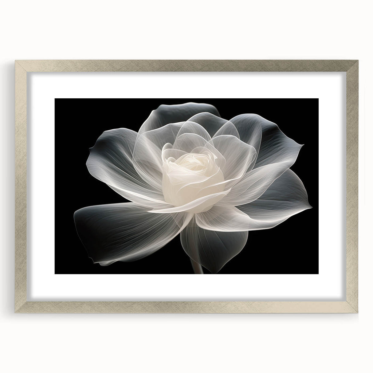 Botanical wall art collection featuring a silver-framed rose design with a white mat, perfect for home decor. Elegant floral aesthetics enhance any room.