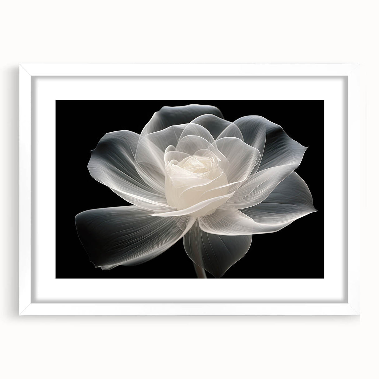 Botanical wall art featuring a delicate rose design in a white frame with mat, ideal for home decor, showcasing elegance and nature-inspired aesthetics.