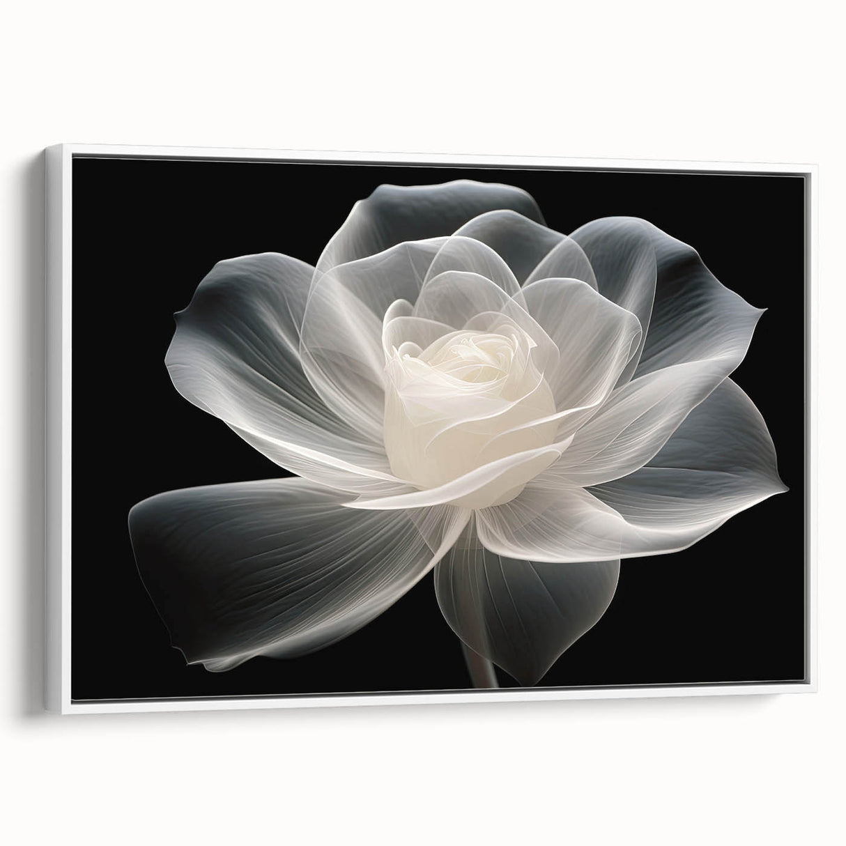 Framed botanical rose wall art featuring a delicate floral design with soft pink and white hues, displayed against a white background to enhance its elegance.