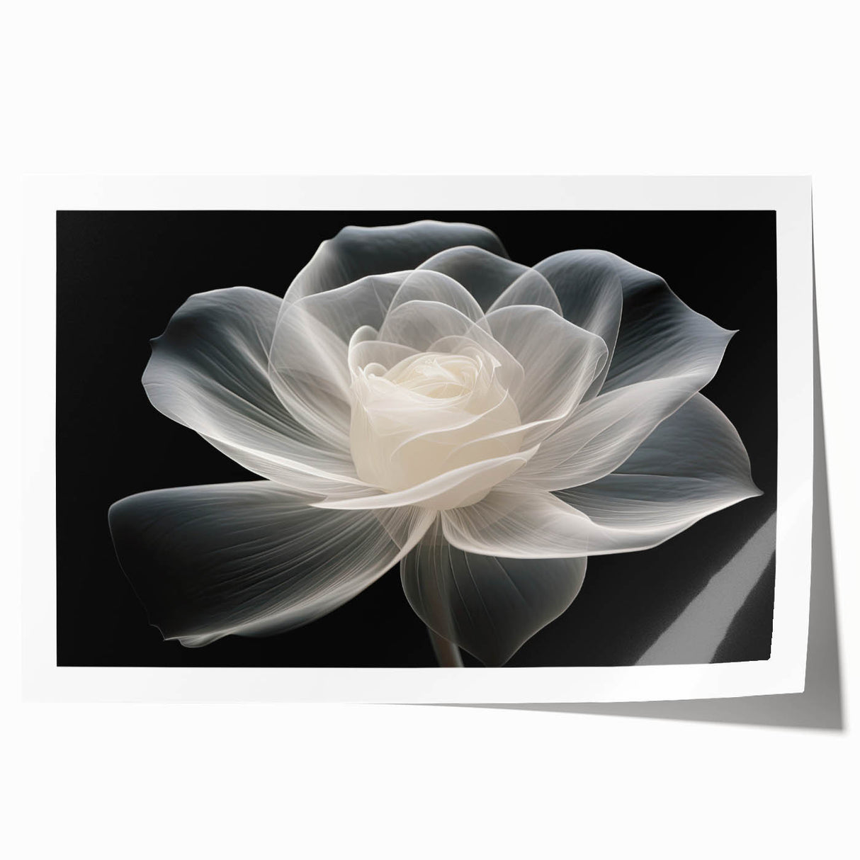 Botanical rose design rolled print showcasing intricate floral details in soft pink and green hues, ideal for home decor or art enthusiasts. Perfect for adding elegance to any space.