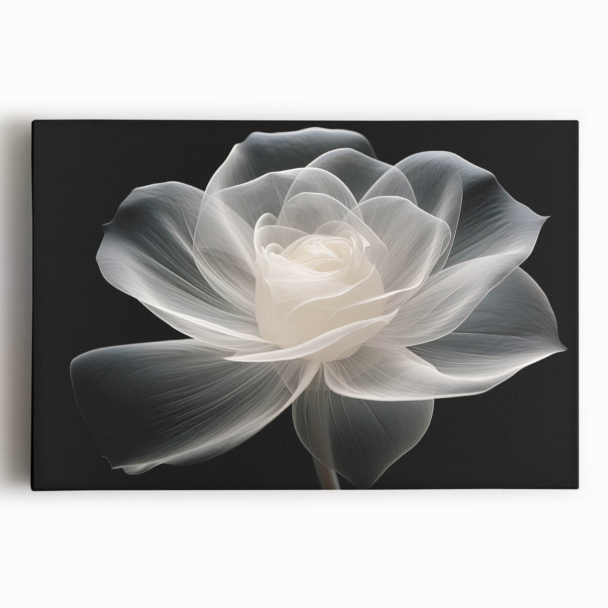 Beautiful botanical rose design wall art on stretched canvas, showcasing vibrant colors and intricate details, perfect for adding elegance to any room decor.