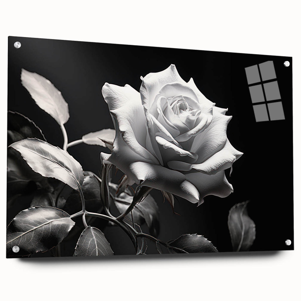 Acrylic glass wall art featuring a botanical rose design, showcasing vibrant flowers arranged elegantly with pins, perfect for home decor. Ideal for floral enthusiasts and art collectors.