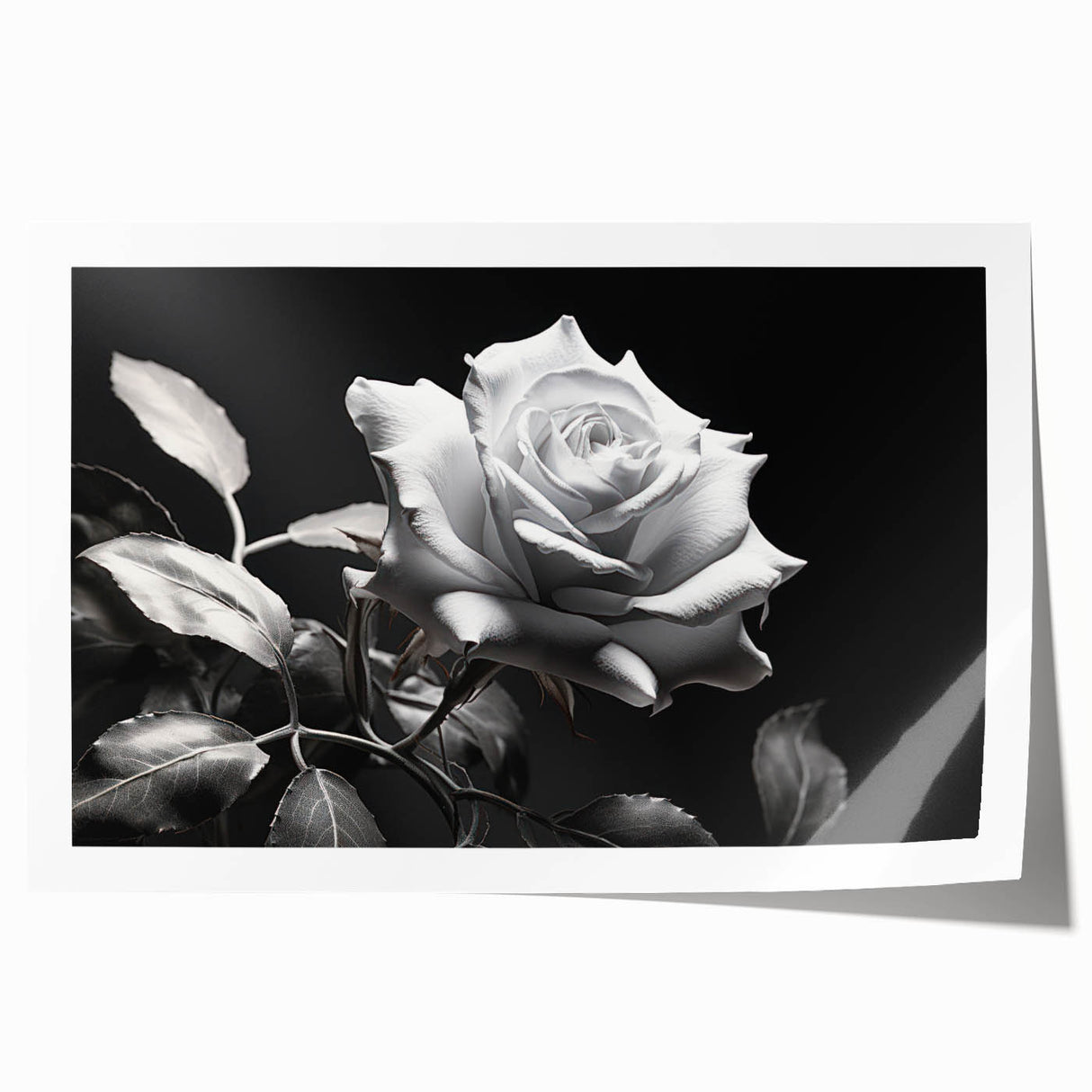 Botanical rose design wall art print featuring delicate pink and cream roses with lush green leaves, rolled for easy shipping and display, ideal for home décor.