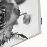 Close-up view of a botanical rose wall art design, showcasing intricate floral details and vibrant colors on acrylic glass, ideal for home decor enhancement.