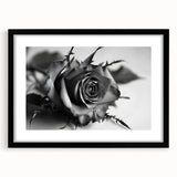 Black-framed botanical rose wall art print showcasing intricate floral details, set in a stylish mat for an elegant home decor accent. Perfect for enhancing living spaces.