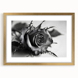 Elegant botanical rose wall art design framed in gold, showcasing intricate floral details and a soft mat, perfect for enhancing home decor aesthetics.