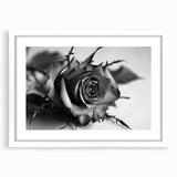 Botanical rose wall art framed with a white mat, showcasing intricate flower designs and vibrant colors, ideal for home decor and nature enthusiasts. Perfect for adding elegance to any room.