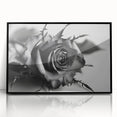 Framed botanical wall art showcasing a vibrant rose design with an elegant black frame, perfect for home decor and floral-themed interiors.