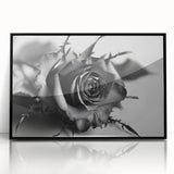 Framed botanical wall art showcasing a vibrant rose design with an elegant black frame, perfect for home decor and floral-themed interiors.