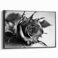 Framed botanical rose wall art canvas in a sleek black frame, showcasing delicate pink and white roses on a soft green background, perfect for home decor.
