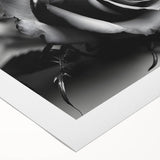 Botanical wall art featuring a delicate rose design on rolled canvas, showcasing intricate floral details in soft pinks and greens, ideal for home decor.