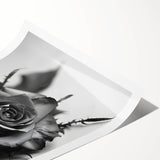 Botanical rose design rolled wall art print featuring delicate pink and cream roses on a soft green background, perfect for home decor and floral aesthetics.