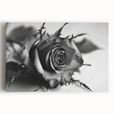 Stretched canvas wall art showcasing a detailed botanical rose design, featuring vibrant colors and intricate floral patterns, perfect for home decor and enhancing aesthetics.