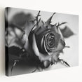 Stretched canvas showcasing a botanical rose design in vibrant colors, ideal for home decor. The artwork features intricate floral details and a sleek side view, perfect for enhancing any living space with a touch of elegance.
