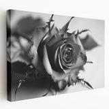 Stretched canvas showcasing a botanical rose design in vibrant colors, ideal for home decor. The artwork features intricate floral details and a sleek side view, perfect for enhancing any living space with a touch of elegance.