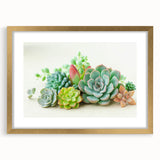 Botanical wall art showcasing a vibrant collection of succulent plants, framed with a gold mat, perfect for adding a touch of nature to home decor.
