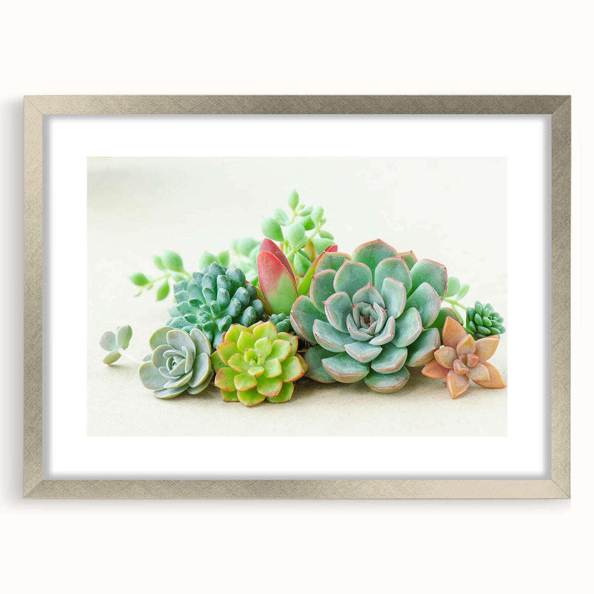 Framed botanical wall art featuring a stunning arrangement of colorful succulents in a silver frame with a mat, ideal for home decor and plant lovers.