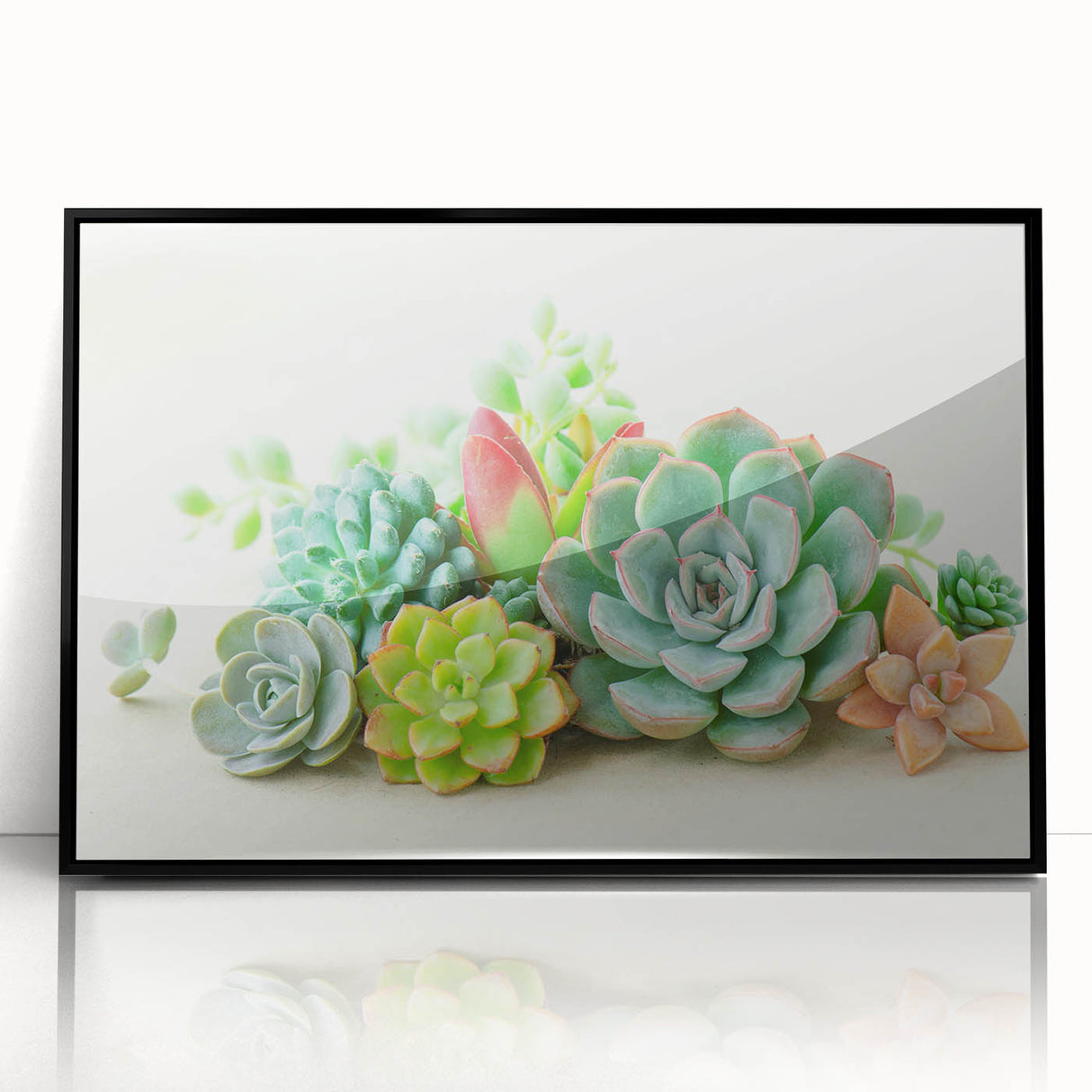 Framed wall art featuring a vibrant botanical design of succulents in various shapes and colors, presented in a sleek black frame for modern decor.