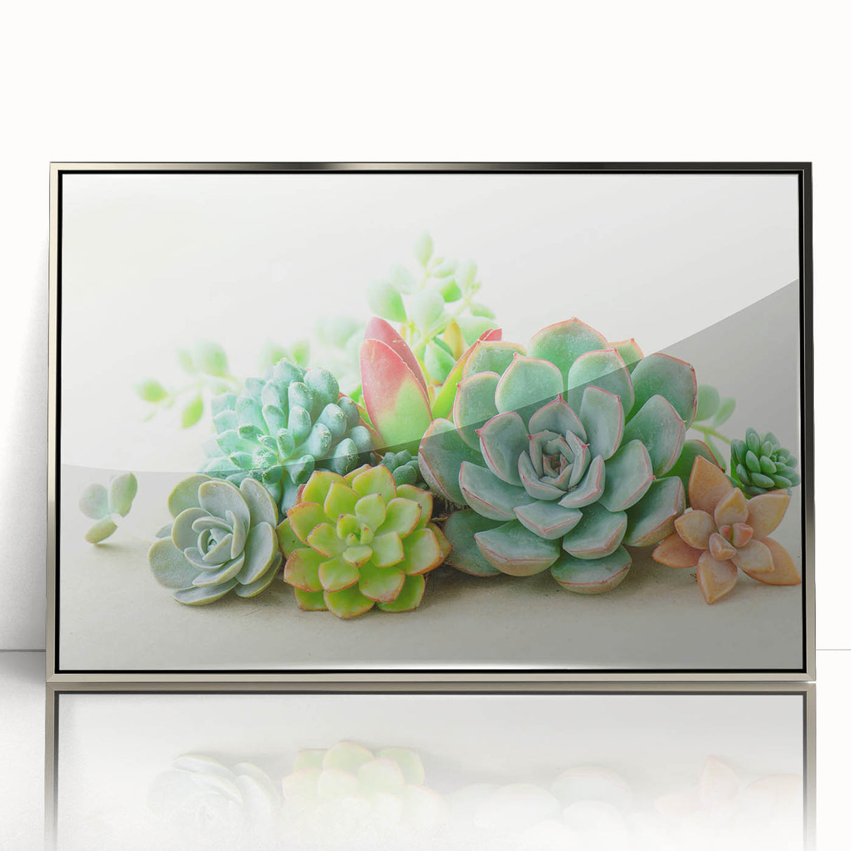 Framed wall art showcasing a vibrant botanical design featuring succulents, presented in a sleek silver frame, perfect for modern home decor.