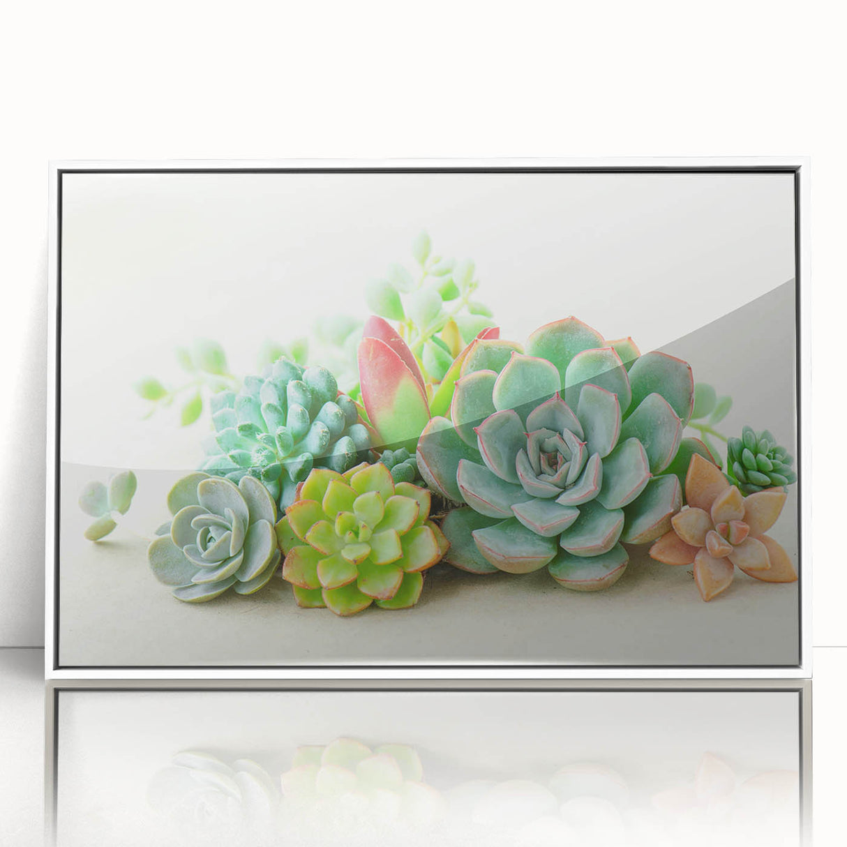 Framed wall art design featuring a collection of botanical succulents with vibrant greens and earthy tones, displayed in a sleek white frame, perfect for home decor.