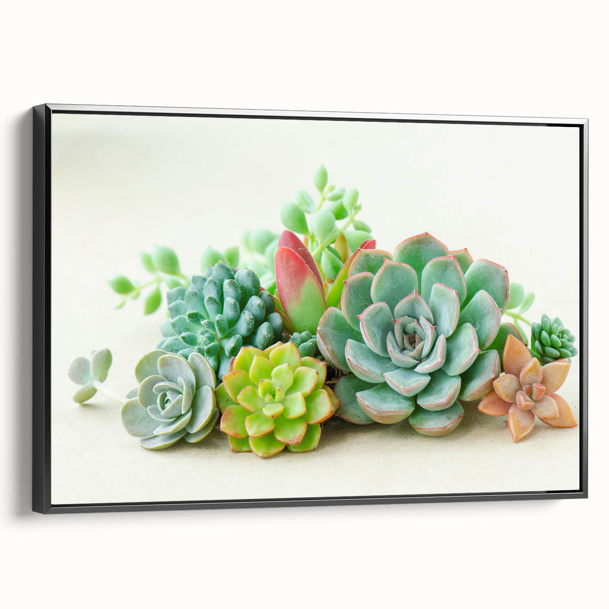 Framed canvas wall art featuring a botanical design of vibrant succulents, presented in a sleek black frame, showcasing intricate details and colors. Perfect for home decor enthusiasts looking to add a touch of nature to their walls.