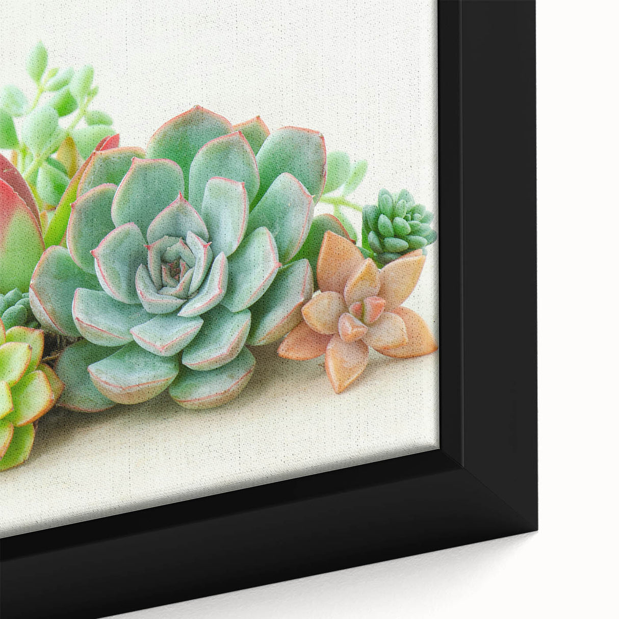 Close-up view of a framed botanical wall art piece showcasing vibrant succulents in various hues. The intricate details capture the natural beauty of the plants, enhancing any room's decor. Perfect for nature enthusiasts and interior design lovers.