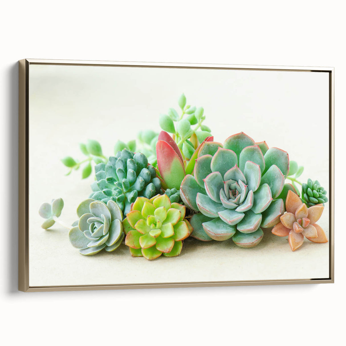 Framed wall art showcasing a botanical design of vibrant succulents, featuring a gold frame and a side view that highlights its elegant aesthetics, perfect for home decor.