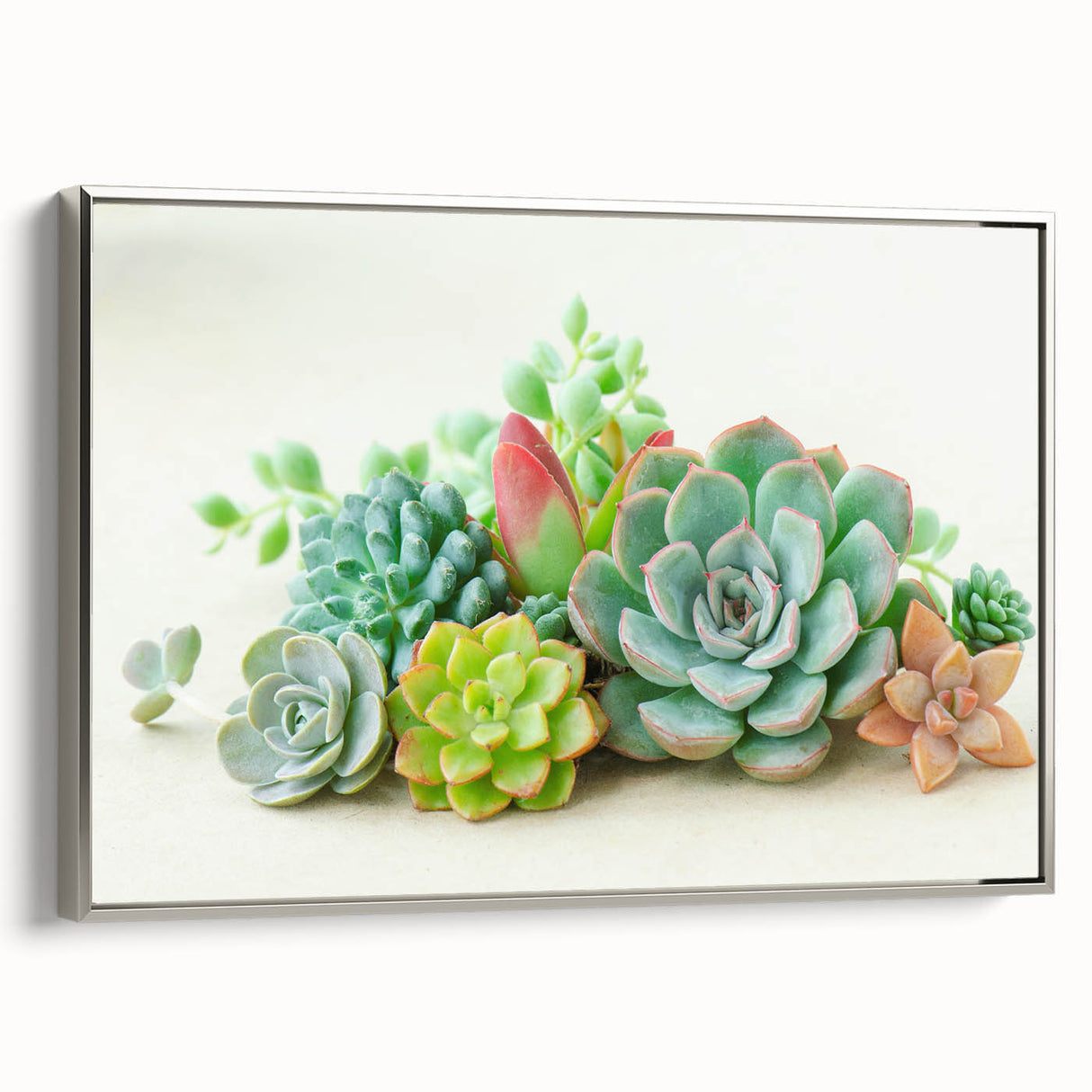 Framed wall art featuring a botanical design of vibrant succulents in shades of green and purple, set against a sleek silver frame, ideal for home decor.