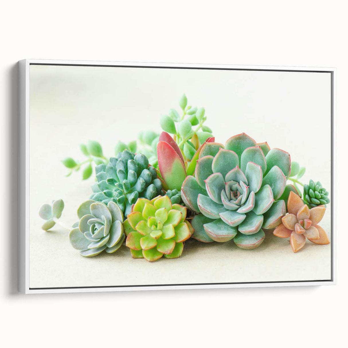 Framed wall art showcasing a botanical design of succulents with vivid green and earthy tones, set against a white background, ideal for modern home decor.