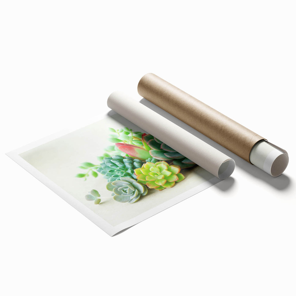 Succulent botanical wall art print showcasing vibrant green plants with intricate details, rolled and ready for framing, perfect for home decor enthusiasts.