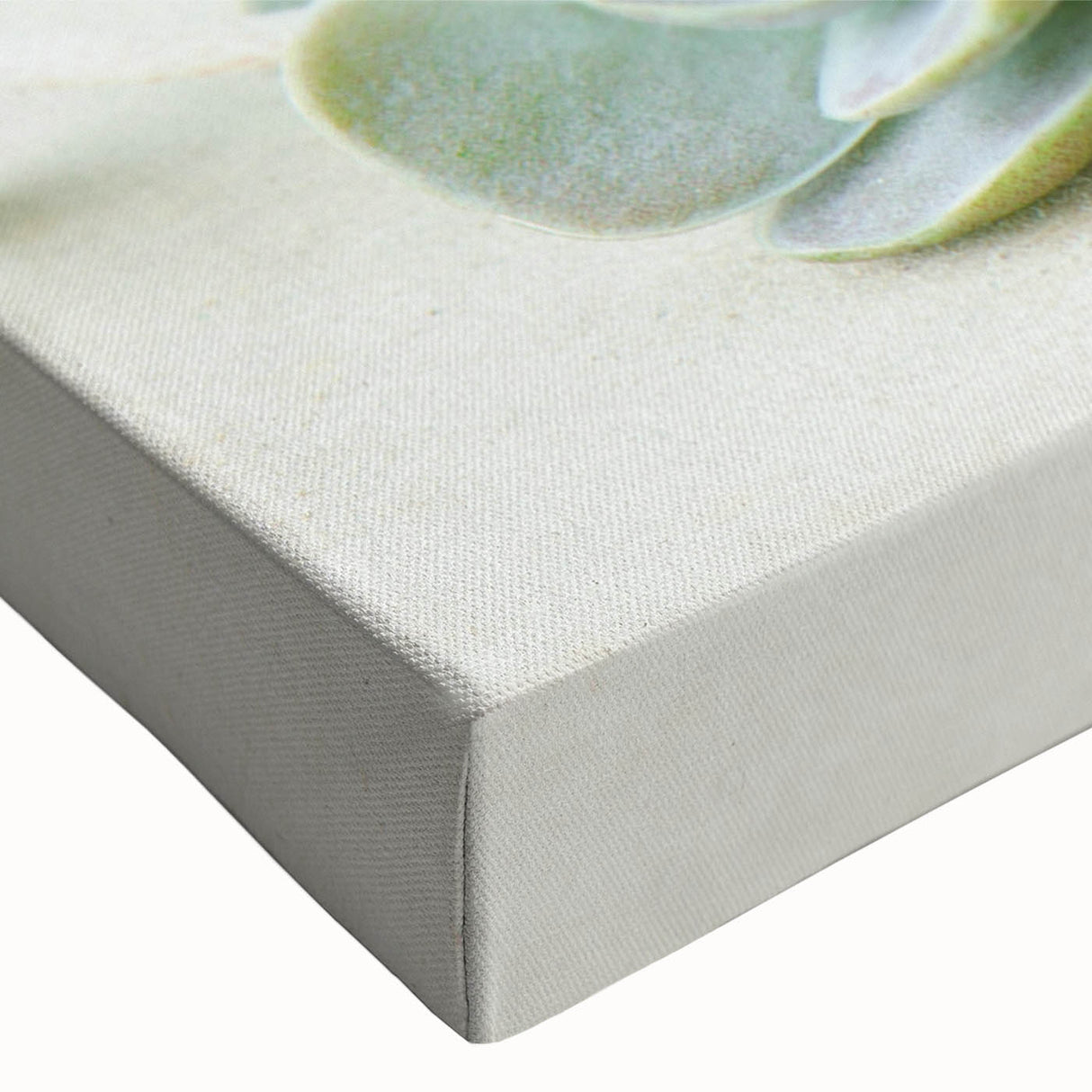 Close-up of a vibrant botanical wall art design featuring colorful succulents on stretched canvas, adding a fresh and modern touch to home decor. Ideal for plant lovers and interior design enthusiasts.