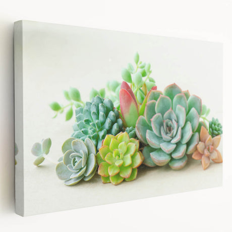 Stretched canvas wall art showcasing a vibrant botanical design of colorful succulents, perfect for home decor. The side view highlights the textured surface and vivid colors, enhancing any interior space. Ideal for plant lovers and modern art enthusiasts, this piece adds a fresh touch to living rooms or offices.