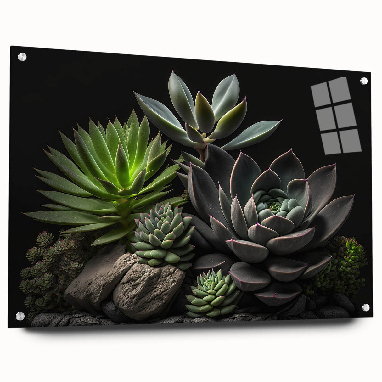 Succulent botanical wall art design featuring a collection of vibrant flowers, displayed in a side view on acrylic glass with visible mounting pins, perfect for home decor.
