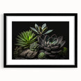 Botanical wall art collection featuring a framed print of vibrant succulents in a black frame with a mat, ideal for modern home decor and plant enthusiasts.