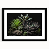 Botanical wall art collection featuring a framed print of vibrant succulents in a black frame with a mat, ideal for modern home decor and plant enthusiasts.