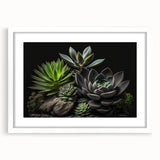 Botanical wall art featuring a collection of vibrant succulents in a white frame with a mat, perfect for enhancing home decor with a natural touch.